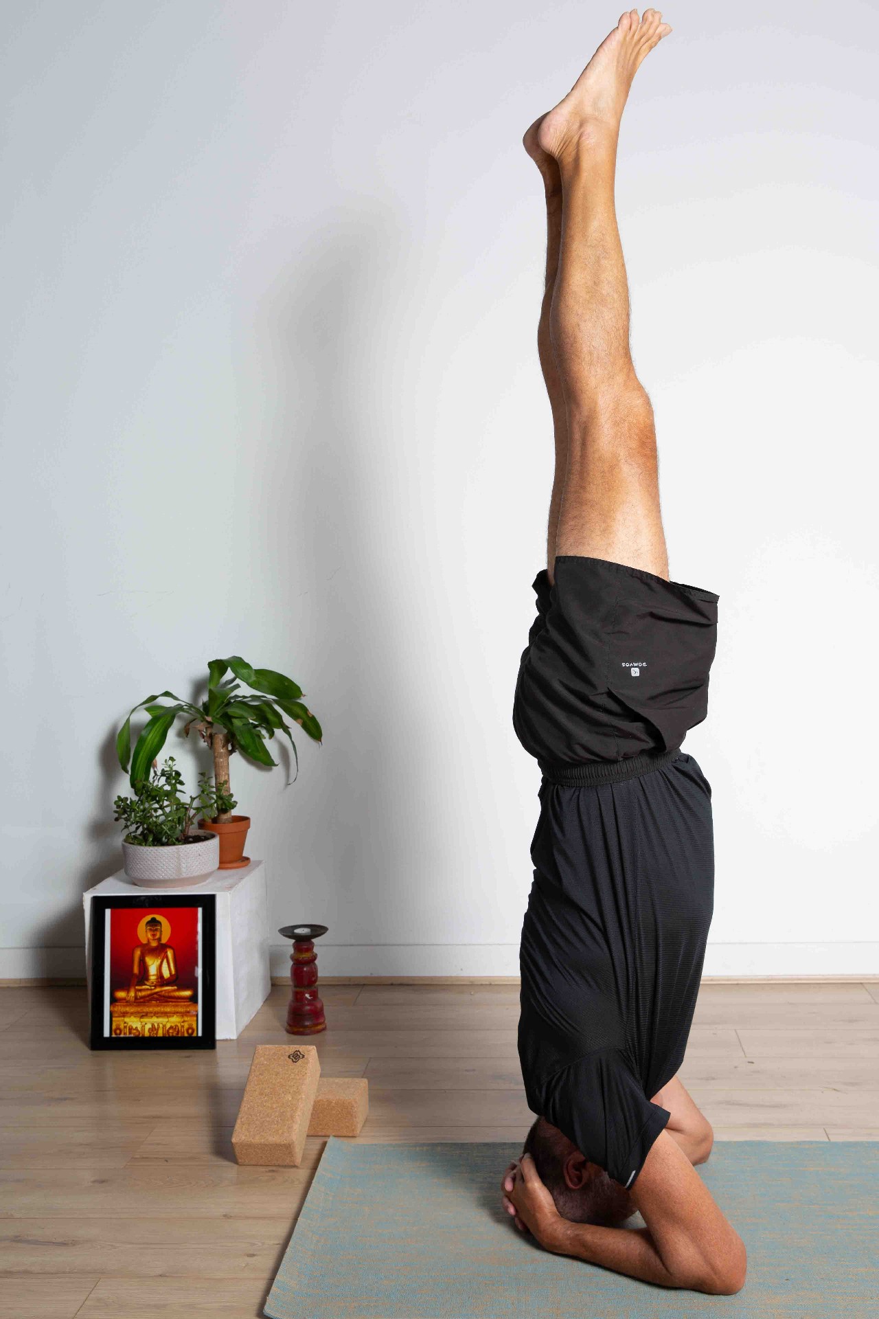 Pascal en posture de Sirsasana (posture sur la tête)